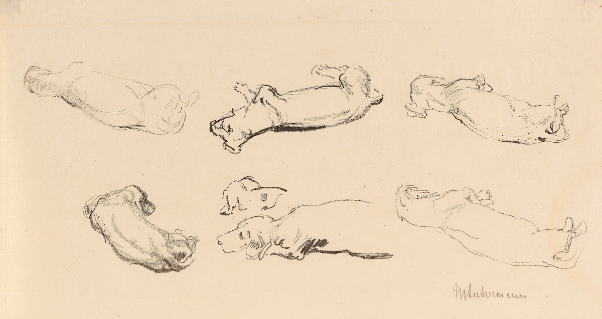 Teckelstudien 1909