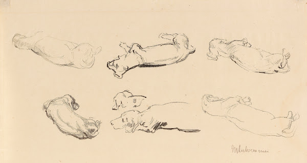 Teckelstudien 1909