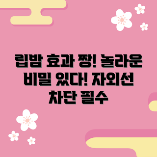 자외선차단립밤, 립밤 추천, 자외선 차단, 효과적인 립밤, 입술 보호