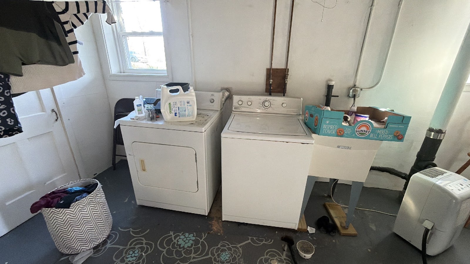 Copy of IMG_2026-03-12_16-22-54_821.jpg