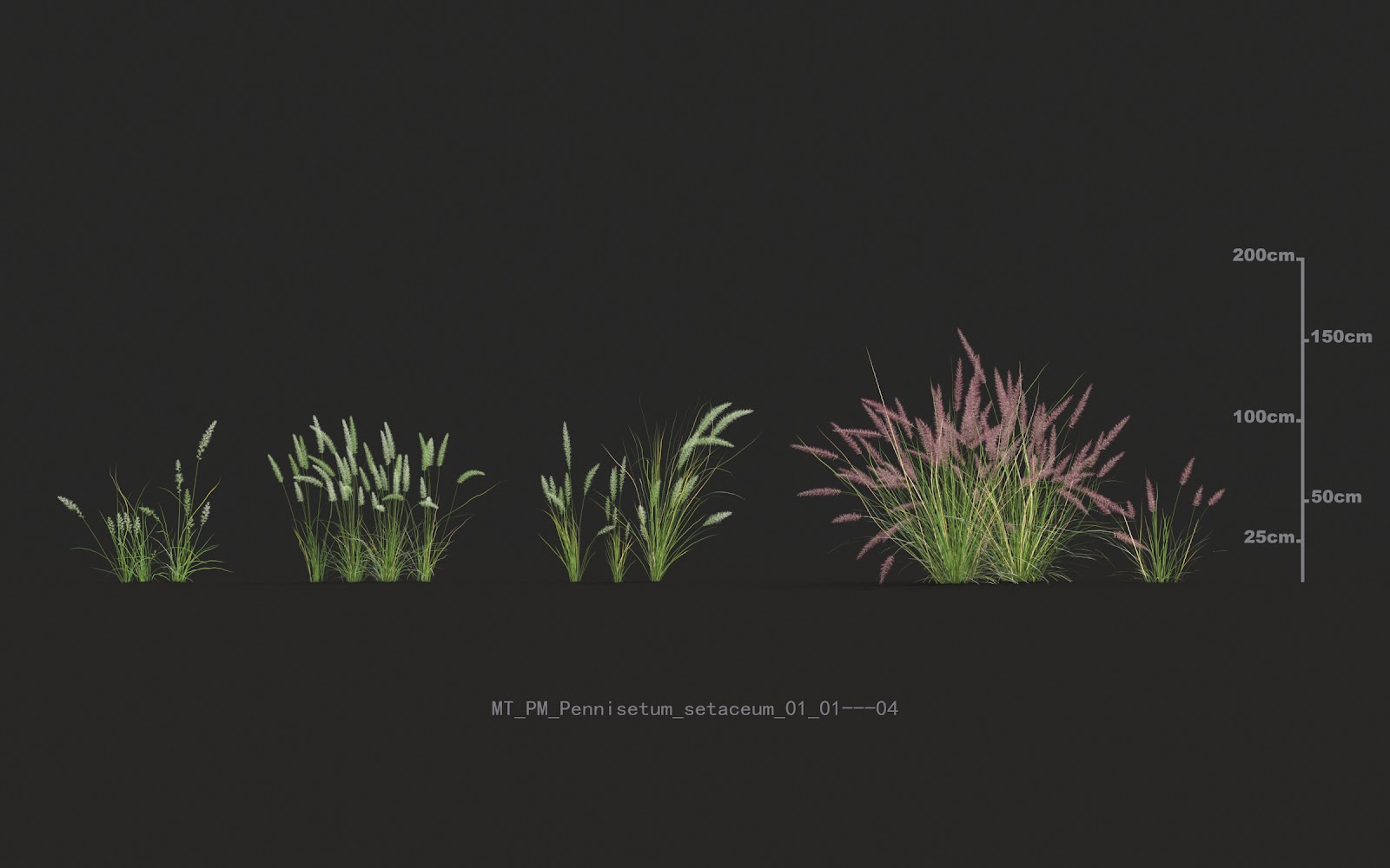 Maxtree - Plant Models Vol.20