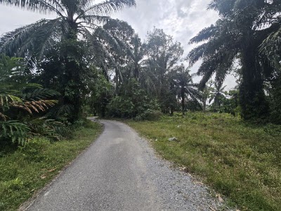 Tanah Pertanian Jenjarom Banting (2.36 ekar) — foto 5/7