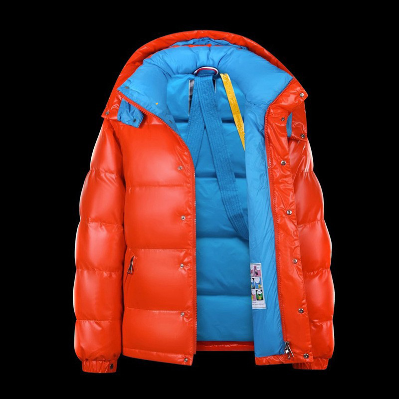 Men's down jacket with hood