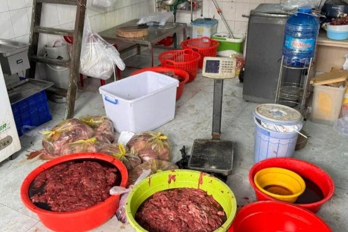 Triệt phá cơ sở sản xuất 65 tấn thịt bò giả, chứa hóa chất - Chuyên trang An Ninh Thủ Đô - Báo Công an nhân dân