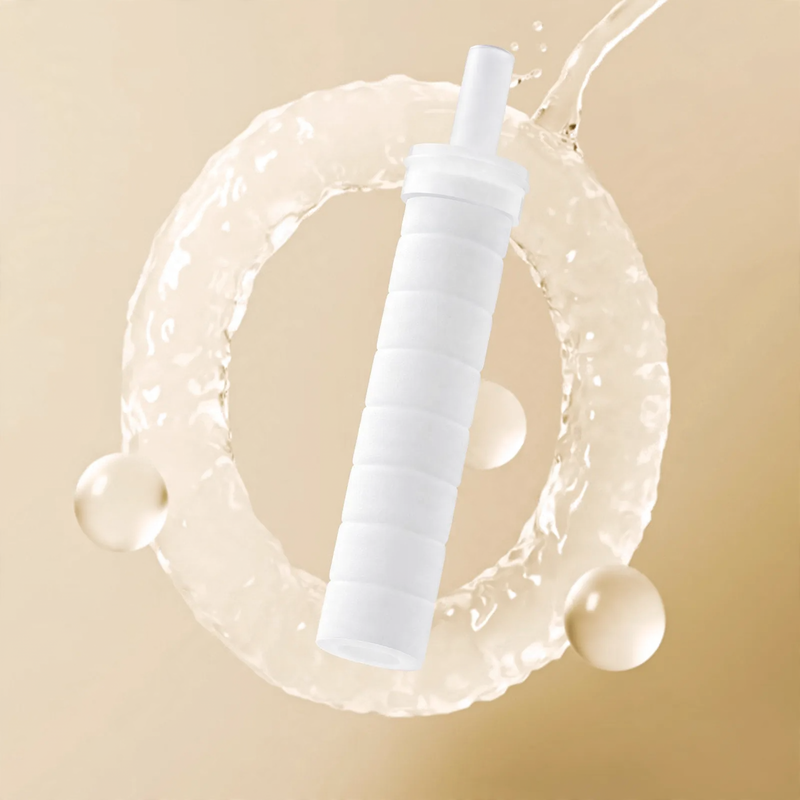 Handheld shower with filter and pressure booster