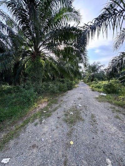 Tanah Industri 2.8 Ekar, Sepang — foto 10/10