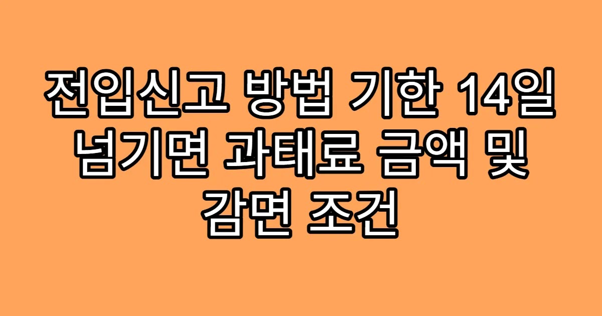 전입신고 방법 기한 14일 넘기면 과태료 금액 및 감면 조건