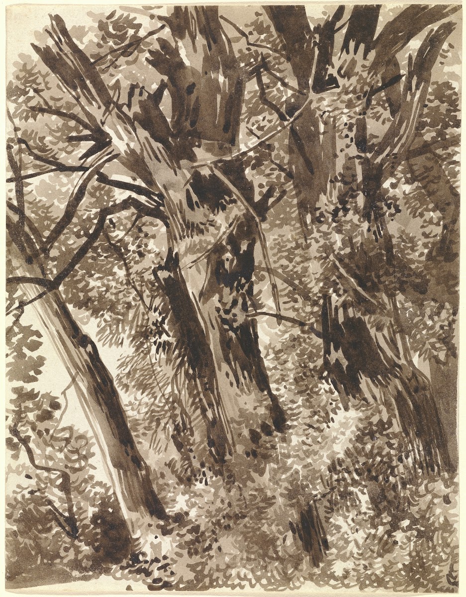 Trunks and Branches 17971819