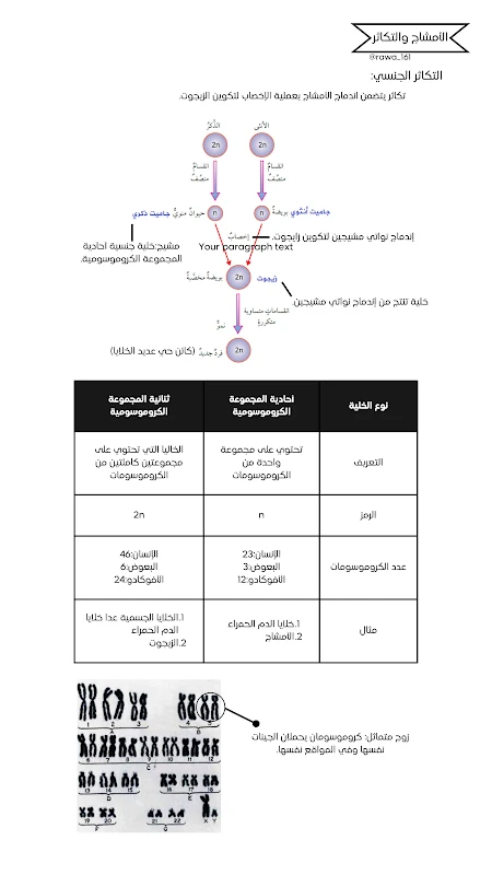 صورة الغلاف