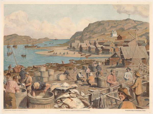 Sea fishing and fish processing 1912