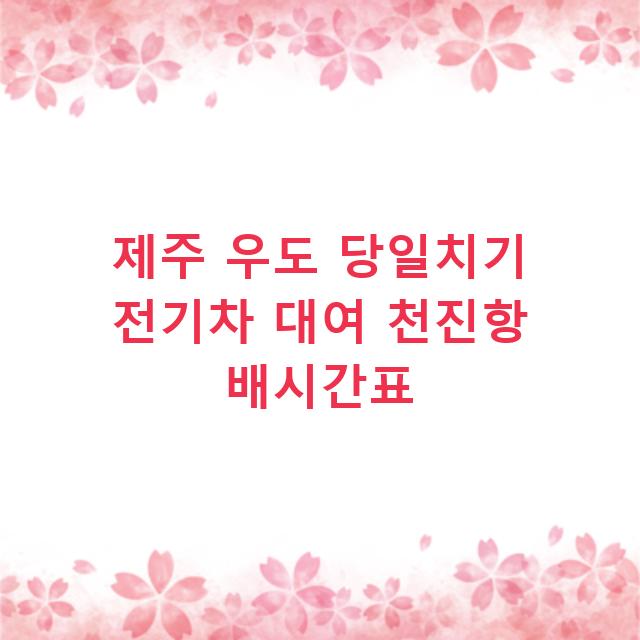 제주 우도 당일치기 전기차 대여 천진항 배시간표