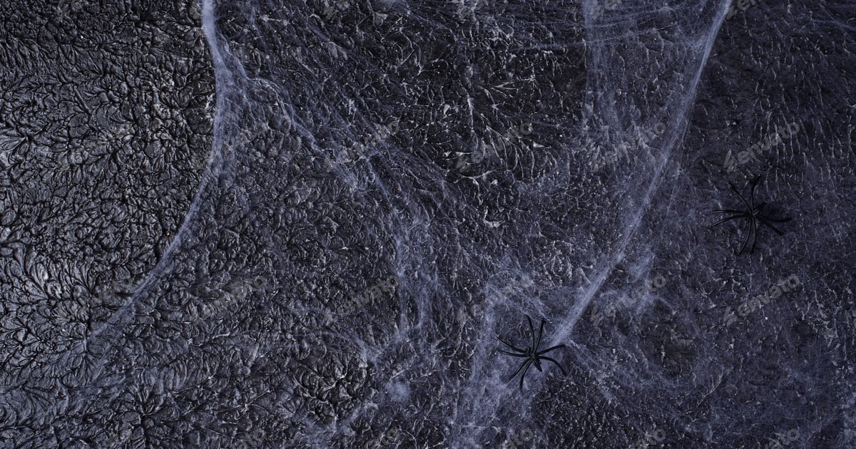 Spider Web Texture on Dark Surface Free Download – Envato Elements
