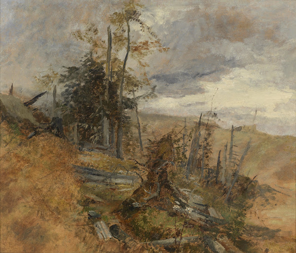 Windbruch c1884