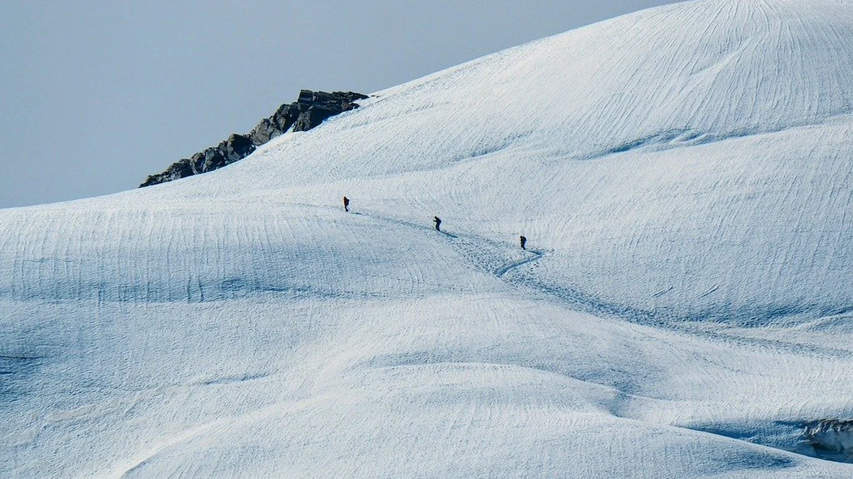 이더리움 가스비 작동 원리와 세금 신고 기준 해설