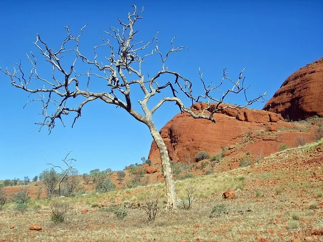 겨울에 실내에서 더 건조해지는 이유와 해결 방법
