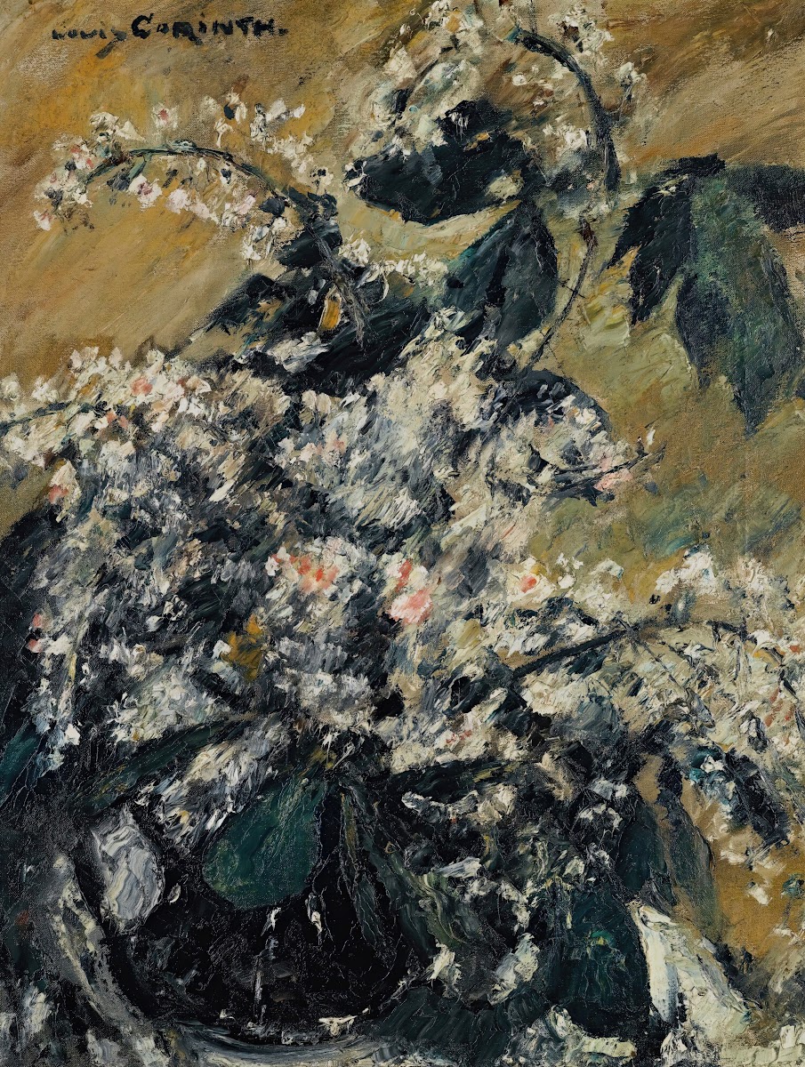Kastanienblüten Horse Chesnut Blossoms