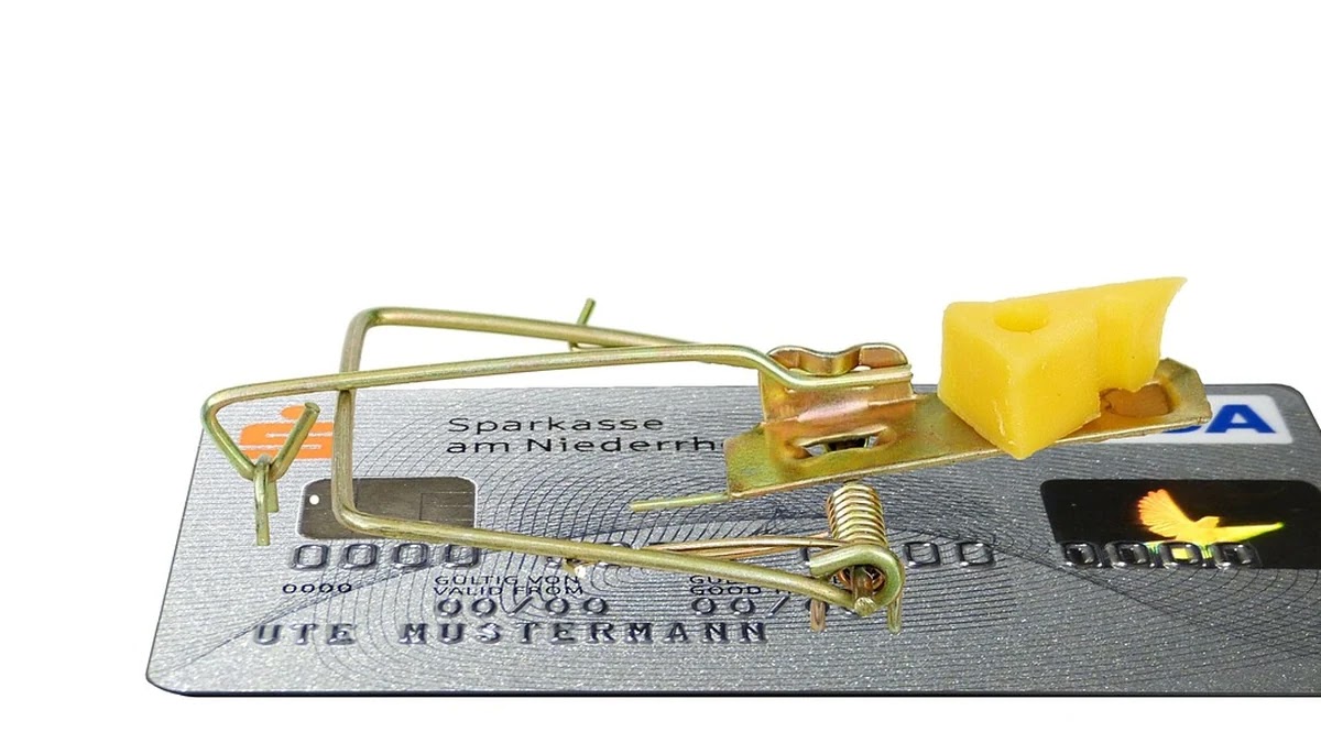 신용대출 금리 비교 시 유의할 점과 우대 조건별 차별화