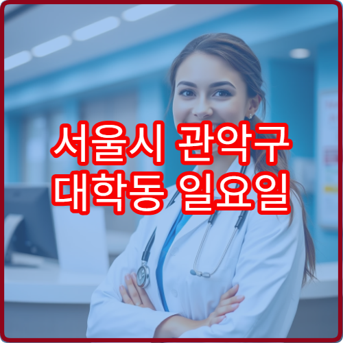 서울시 관악구 대학동 일요일 성형외과 주말 진료