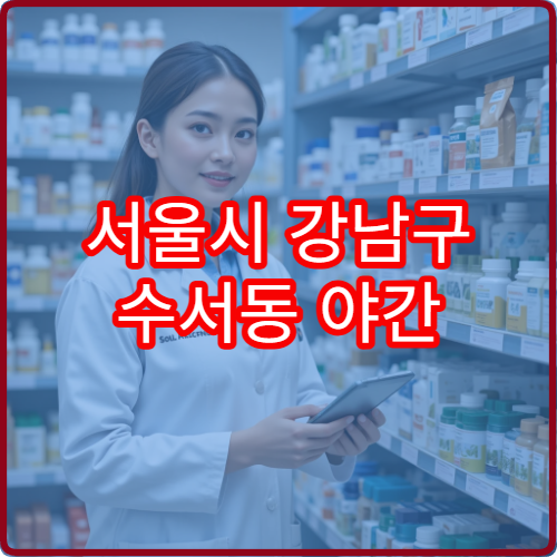 서울시 강남구 수서동 야간 약국 수서역 주변 문 여는 약국