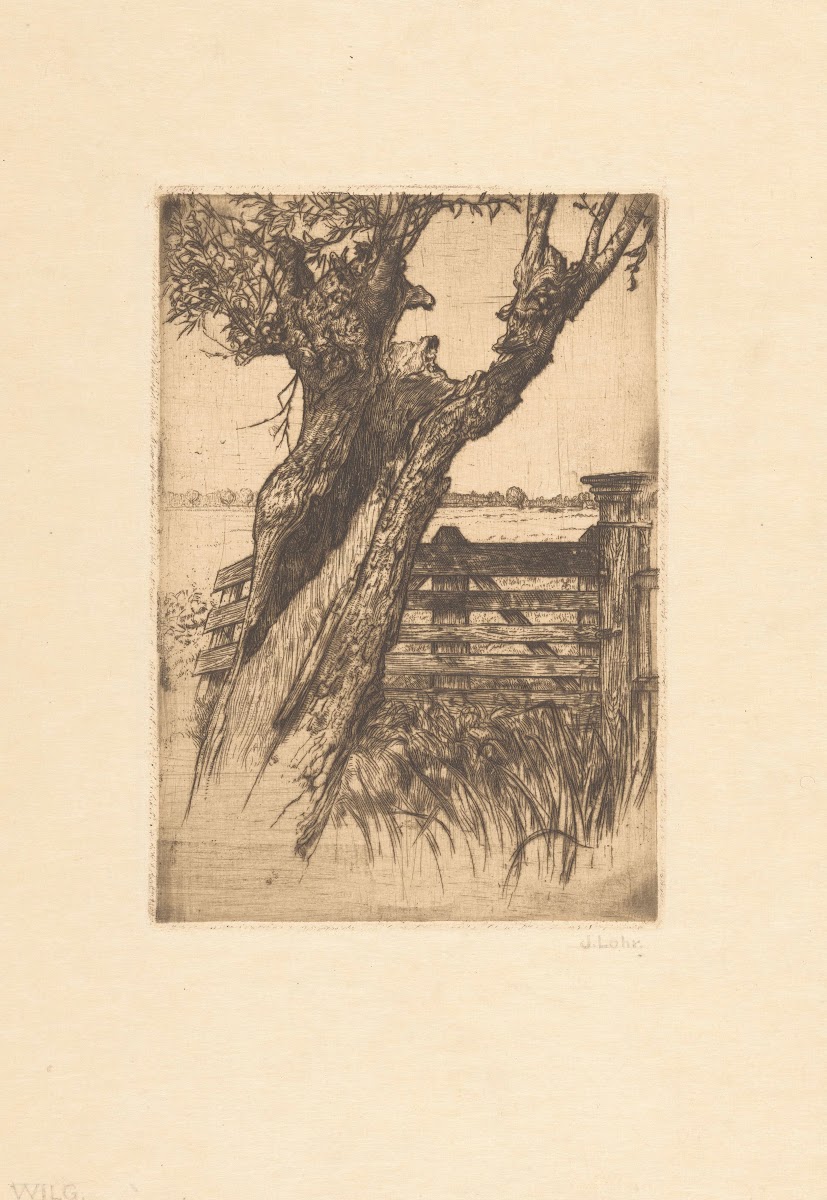 Willow 20th century