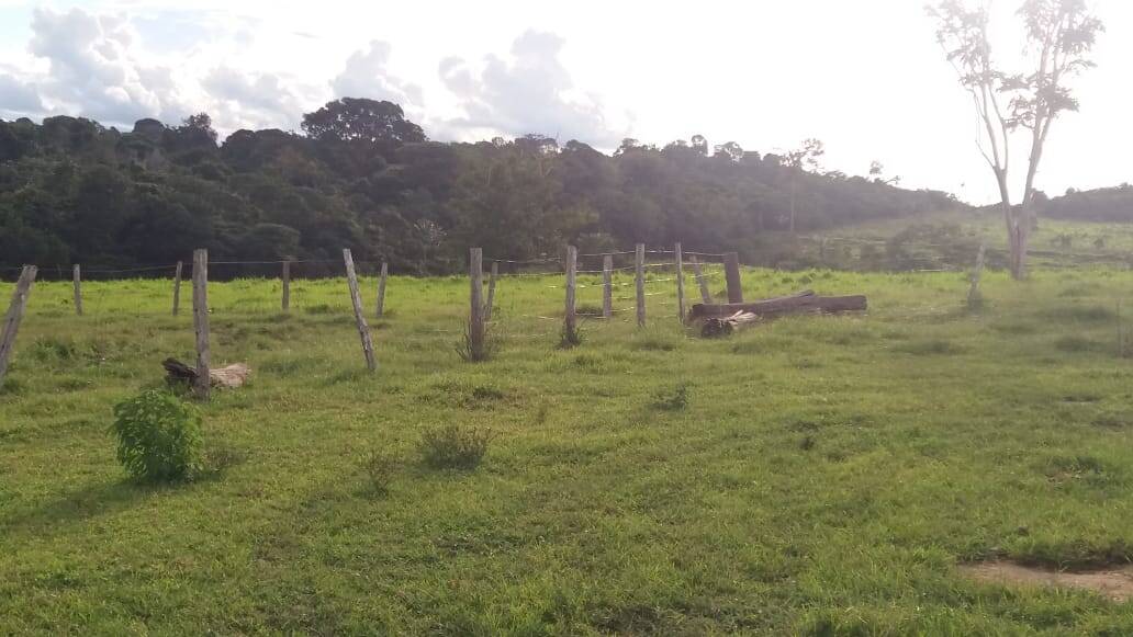 Fazenda em Paranaíta-MT 2
