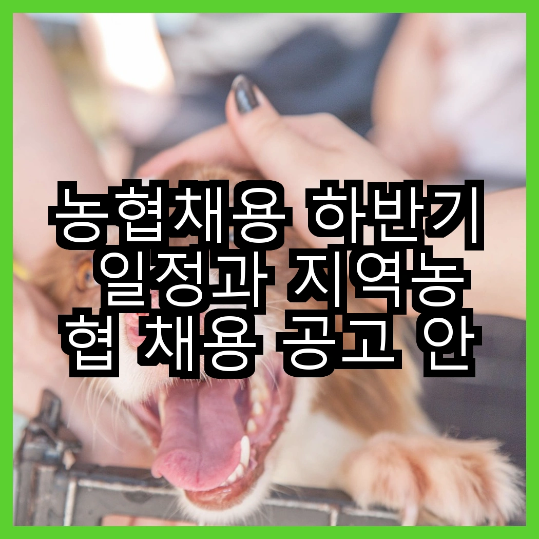 농협채용 하반기 일정과 지역농협 채용 공고 안내 썸네일