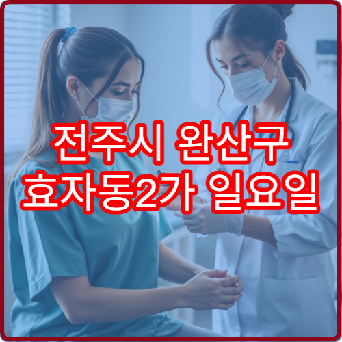 전주시 완산구 효자동2가 일요일 진료 이비인후과 귀 통증 중이염 상담