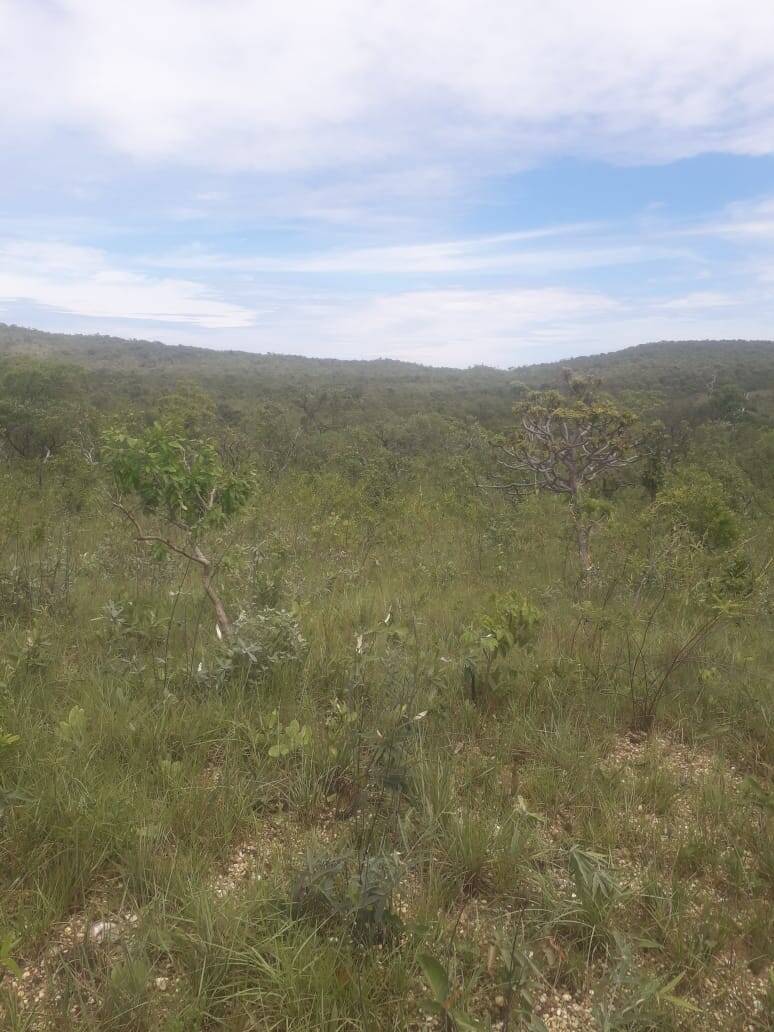 Fazenda em Cavalcante-GO 5