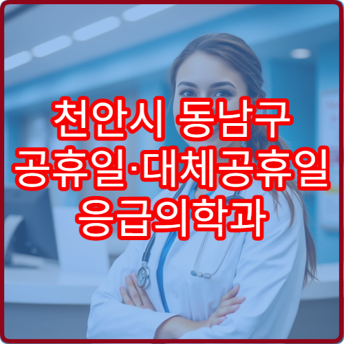 천안시 동남구 공휴일·대체공휴일 응급의학과 진료 병원 응급환자 처치 가능