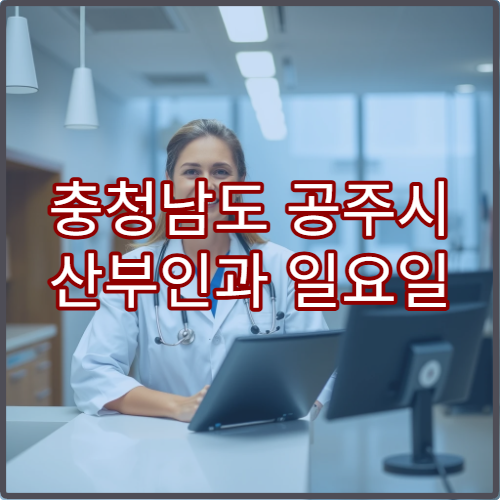 충청남도 공주시 산부인과 일요일 진료 병원 출산·생리통 응급 상담 가능