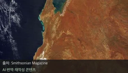 대왕오징어 발견 - 심해의 괴물 대왕오징어, 호주 바다에서 발견된 놀라운 이유