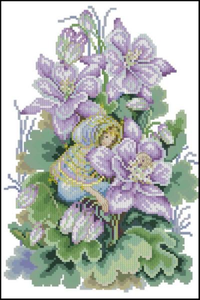 CMP 220037 Columbine
