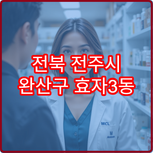 전북 전주시 완산구 효자3동 일요일 당직 약국 문 여는 약국 안내