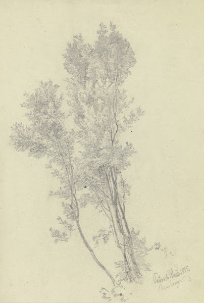 Gruppe junger Bäume an der Partnach Klamm 1839