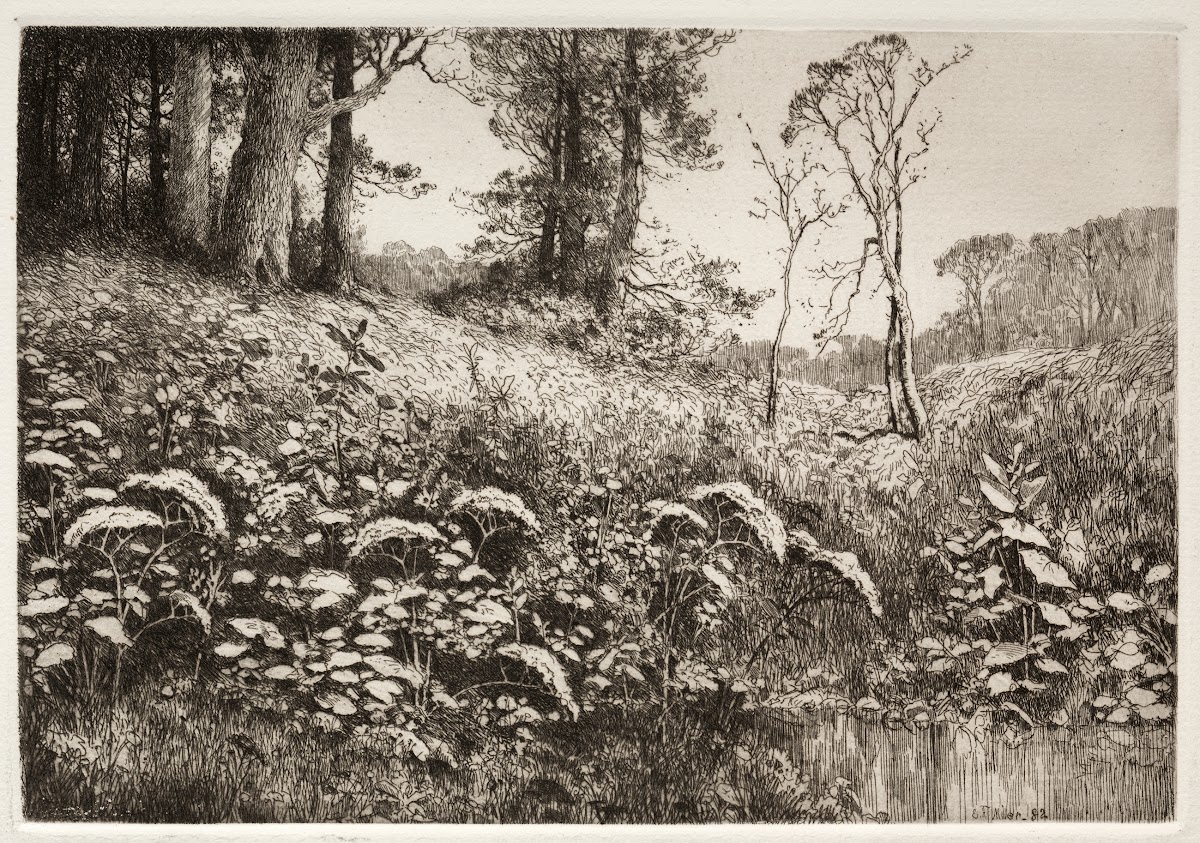 A Summer Afternoon 1882