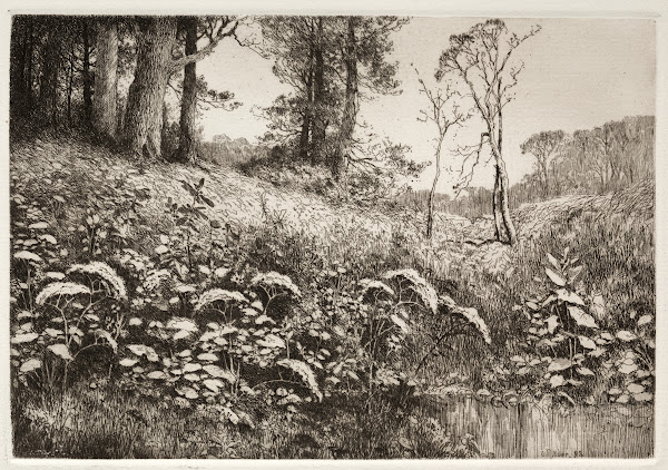 A Summer Afternoon 1882
