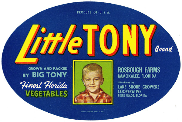 Little Tony Brand Vegetable Label 1930 1950