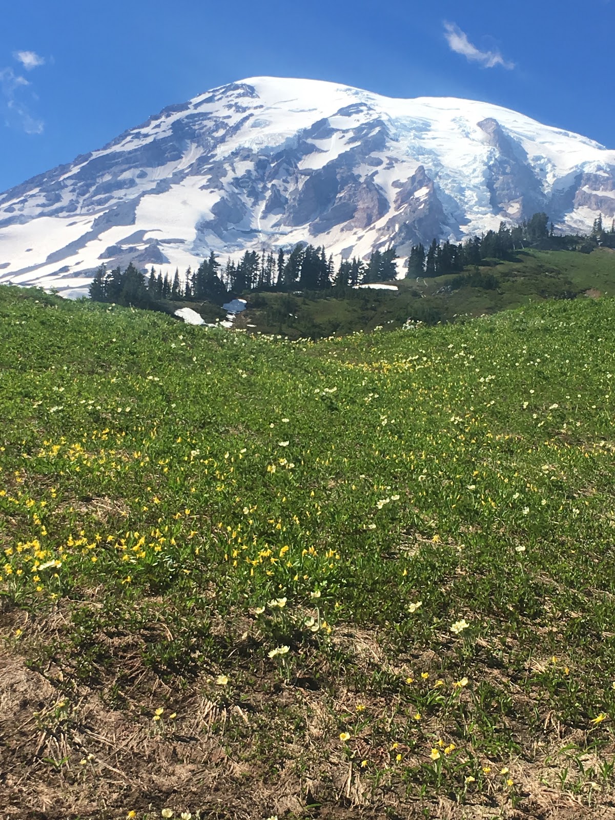 Ceremony location — National Park