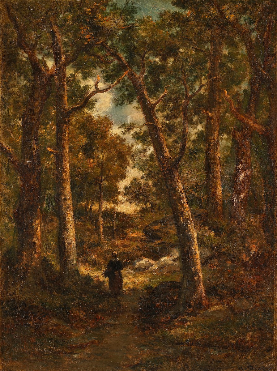 Sous bois fagotière de dos
