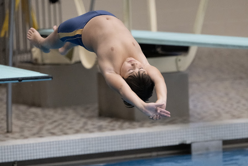 Photo from MS: Swim & Dive of Gus Li