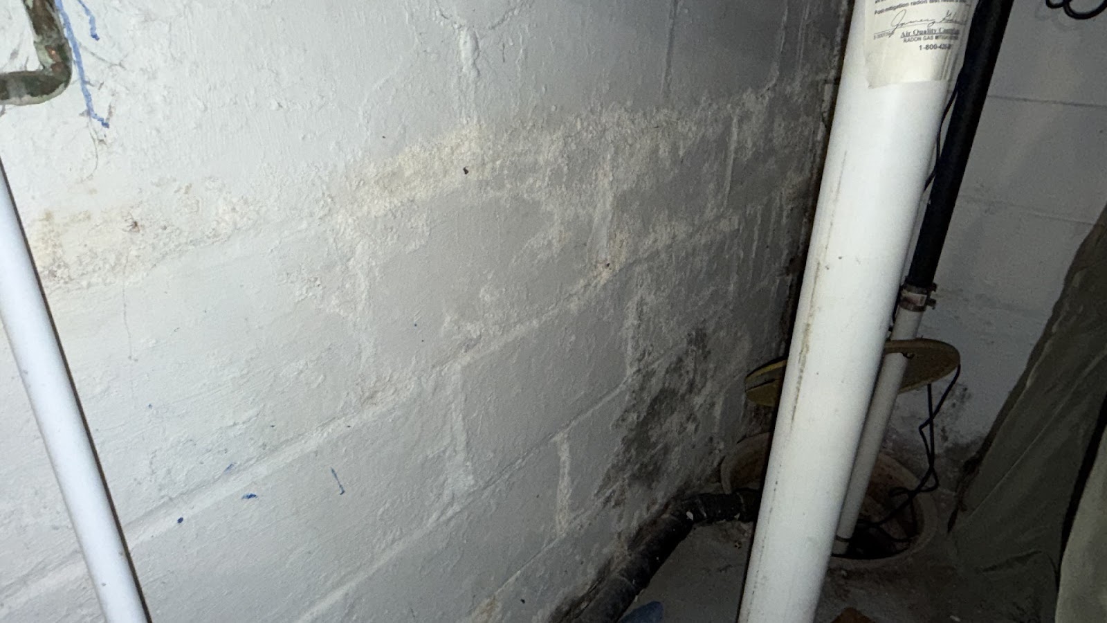 Copy of IMG_2026-03-13_14-49-54_285.jpg