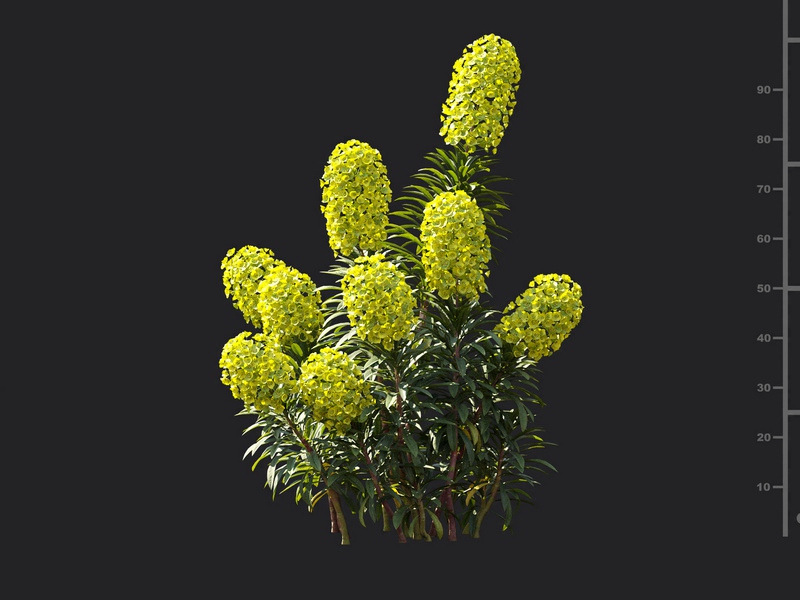 Maxtree - Plant Models Vol.119