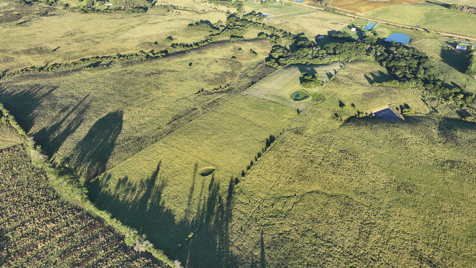 Campos agrícolas