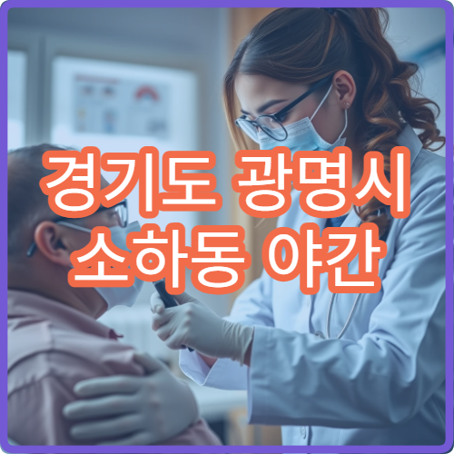 경기도 광명시 소하동 야간 산부인과 진료 병원