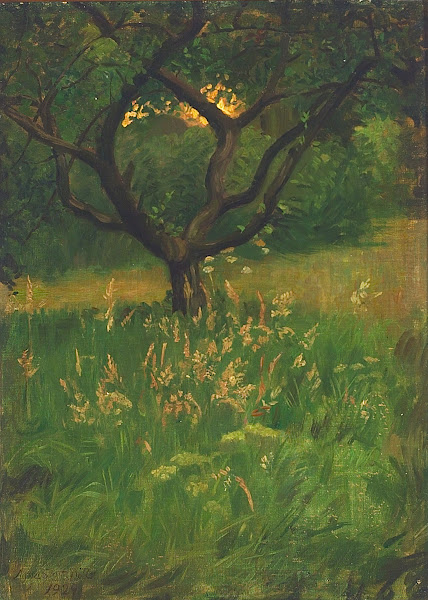 View of a garden 1929