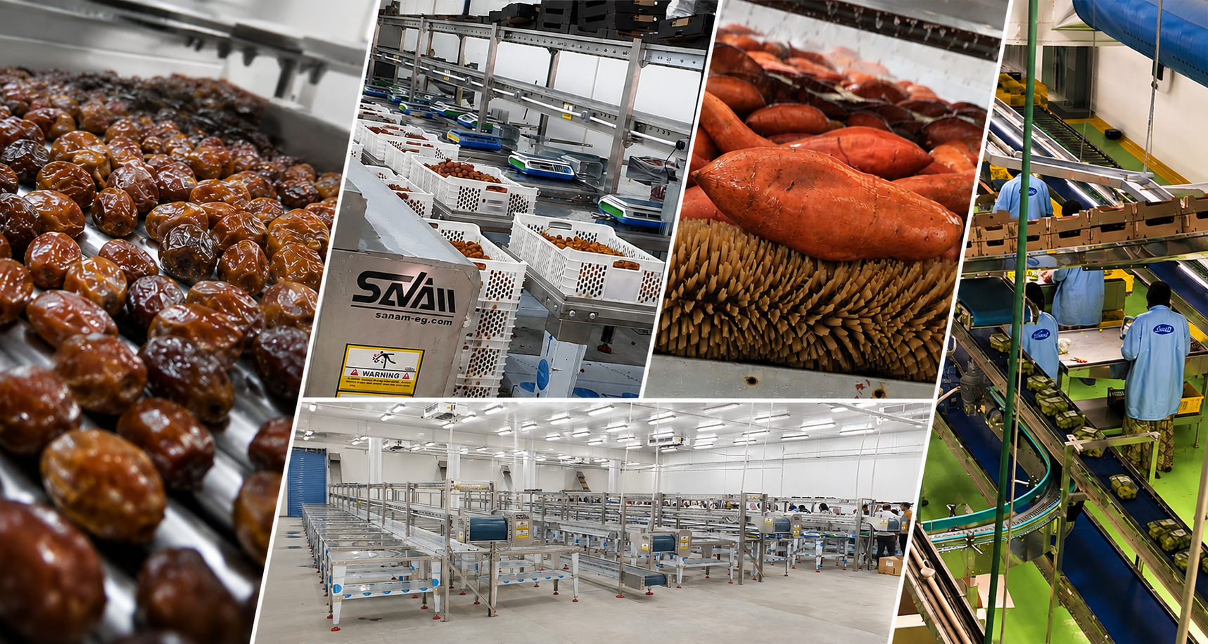 SANAM fresh fruits and vegetables packing line