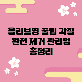 올리브영발각질, 각질 관리, 겨울 피부 케어, 2023 뷰티 트렌드, 집에서 관리