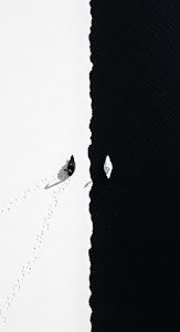 Conceptual Top-Down Photo of Black and White Swans on Divided Snow and Water
