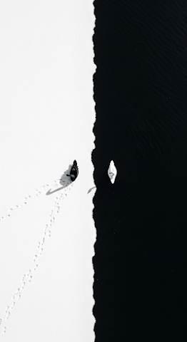 Yin Yang Swans Contrast