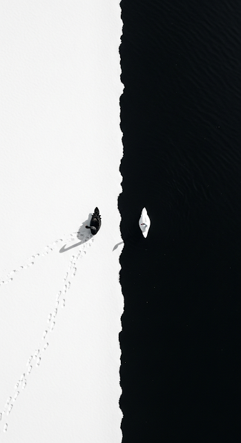 Conceptual Top-Down Photo of Black and White Swans on Divided Snow and Water